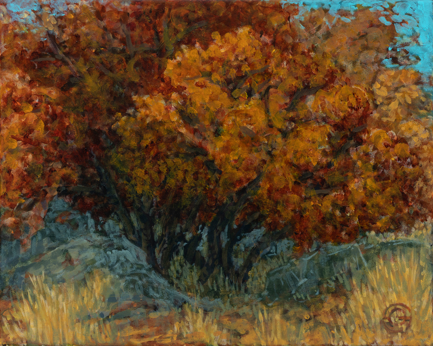 Gamble Oak