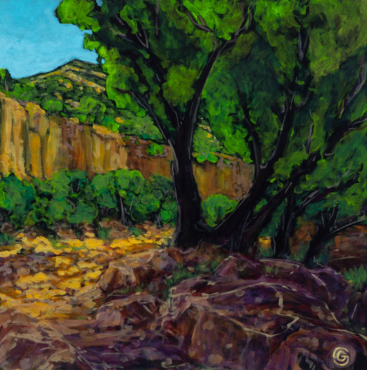 Rock Canyon