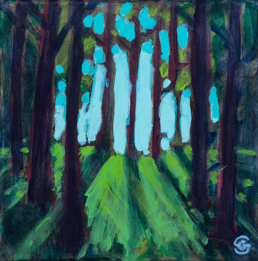 Evening at Boggy Draw